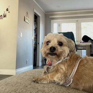 Meet your Posher, Natalie